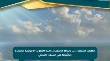 انطلاق استعدادات دمياط لاحتضان وحدة التغويز الأمريكية الجديدة وتأثيرها على السوق المحلي